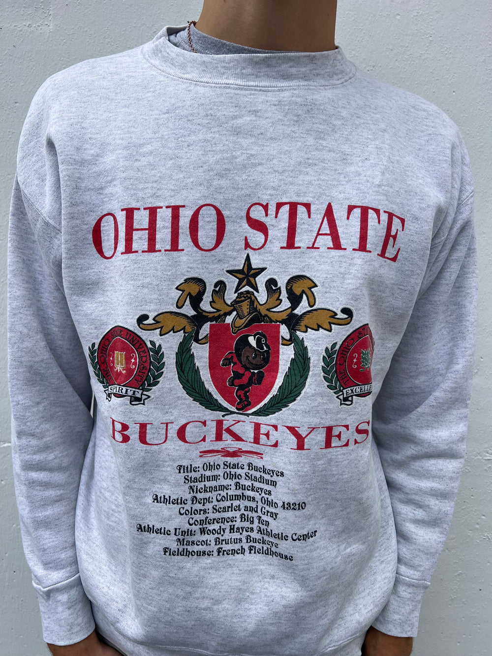 Vintage 90s Ohio State University Buckeyes Football Sweater (L)