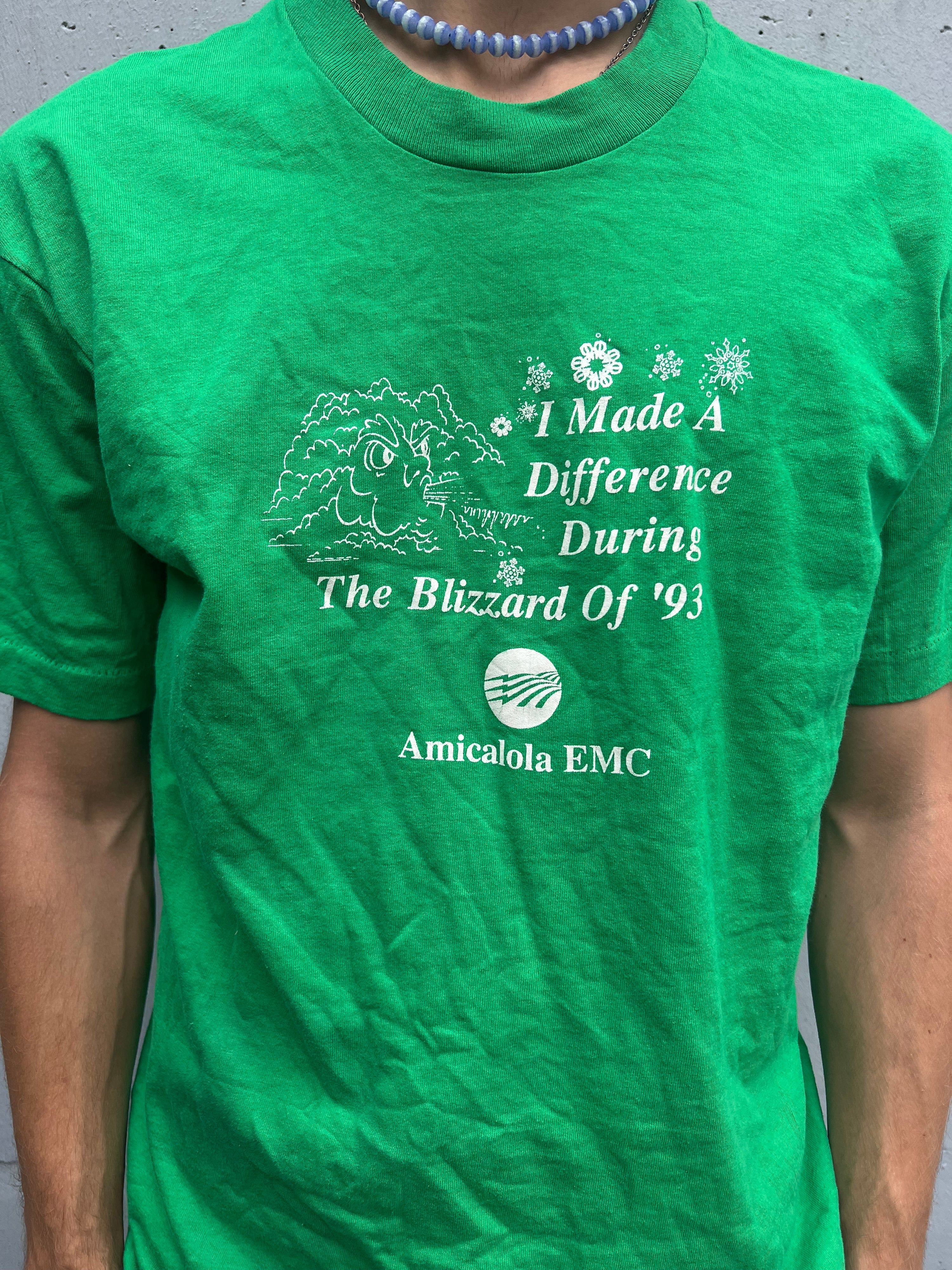 Vintage 1993 single stitched T-Shirt Amicalola EMC (L)